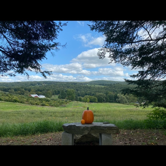 Meet your Posh Ambassador, Lauren - Picture 2 of 4